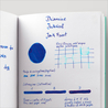 Diamine Inkvent Jack Frost Inchiostro 50 ml Blue Edition Shimmer & Sheen