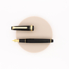 Sailor Professional Gear Slim Fountain Pen Black & Gold