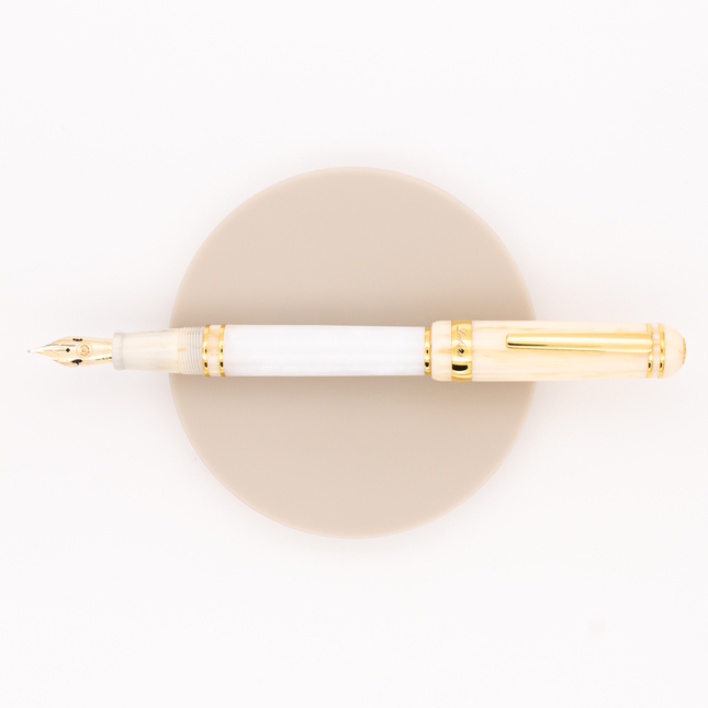 Laban 325 Snow Fountain Pen Winter Edition