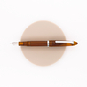 Sailor 1911 Compass Penna Stilografica Transparent Brown