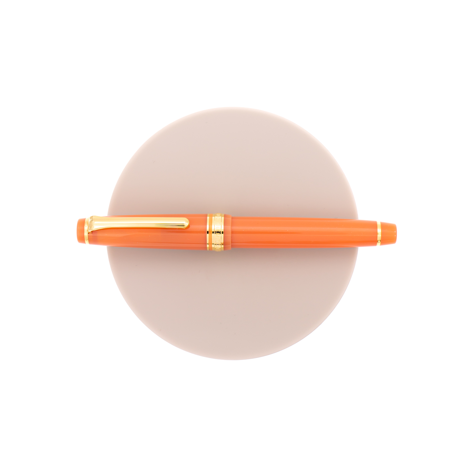 Giappone Teranishi Kagaku Chitarra GINGER ORANGE SPARKLE Inchiostro Penna  stilografica Inchiostro Dip Pen Inchiostro Inchiostro per pittura Inchiostro  per scrivere, Inchiostro glitter Sparkle / 12 ml -  Italia