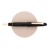 Sailor King of Pen Ebonite Penna Stilografica Black & Gold