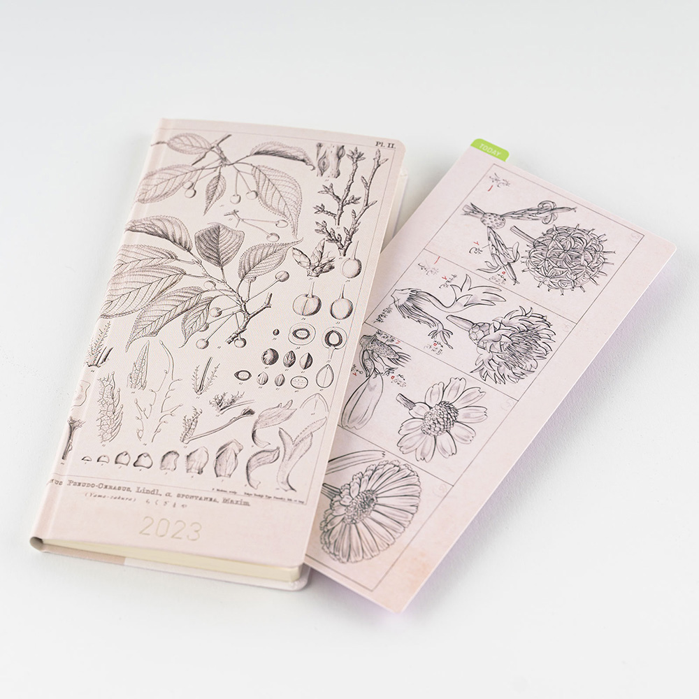 Hobonichi Pencil Board] Tomitaro Makino (Weeks) – Baum-kuchen