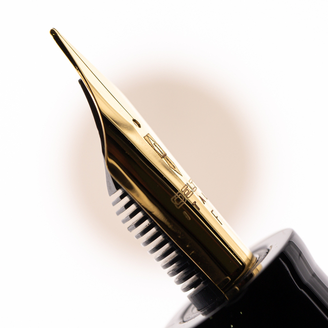 Delta Dolcevita Mid-Size | P | Fountain Pen Gold