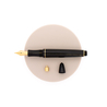 Delta Write Balance Fountain Pen Green & Gold