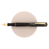 Delta Write Balance Fountain Pen Green & Gold