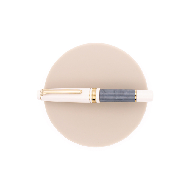 Sailor ProGear Slim Mini Rencontre Fountain Pen Gris Fer