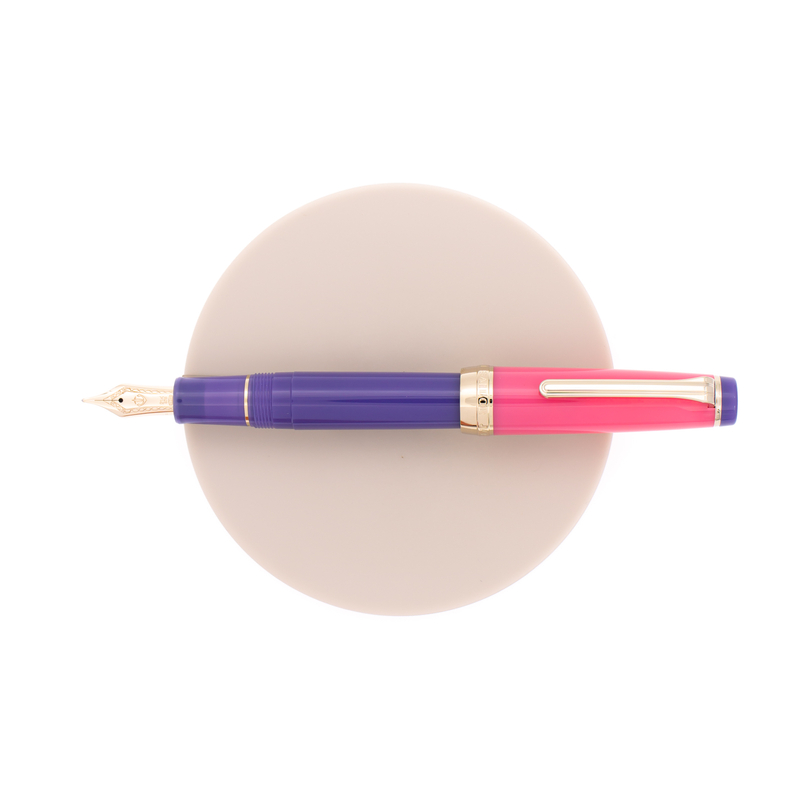 Sailor Sailor Professional Gear Penna Stilografica Spring Sky Edizione Speciale