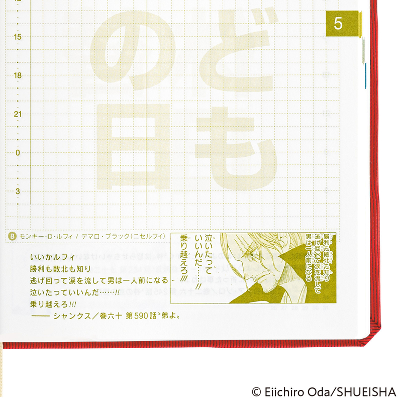 Hobonichi Hobonichi Hon A6 2025 ONE PIECE magazine: DON!