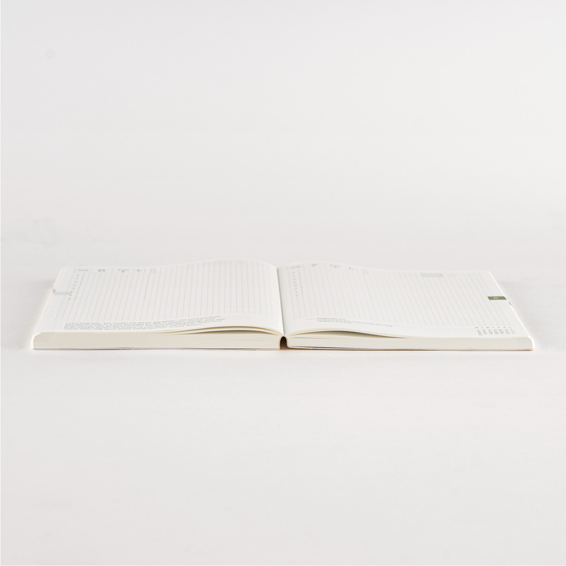 Hobonichi Hobonichi Techo Cousin Book 2025 Agenda A5 Giornaliera