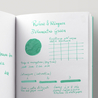 Rohrer & Klingner Dokumentus Verde Inchiostro 50 ml Indelebile